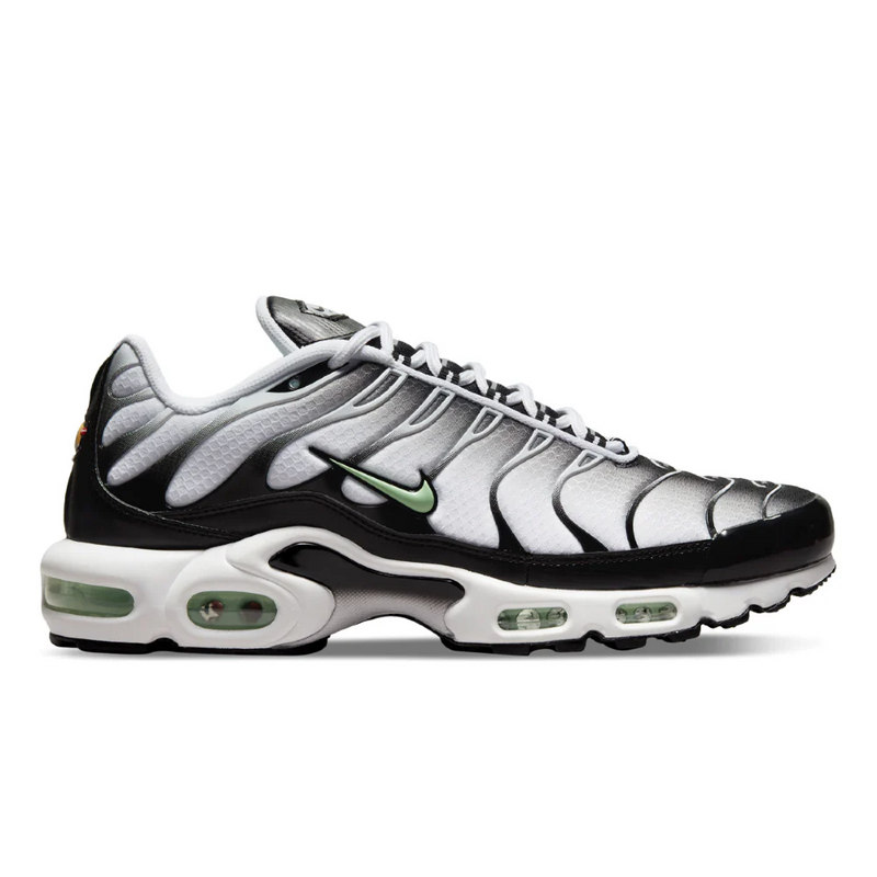 Air Max Plus TN 1 "Seafoam"